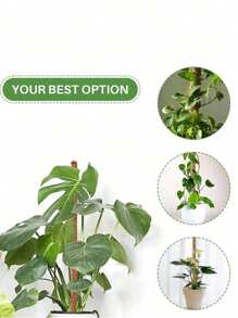 1pc/2pcs DIY Bendable Plant Support Poles, Flexible Moss Poles, Free-Form Climbing Vine Poles, Used To Support Plants, Monster Plants, Climbing Plants, Indoor Plants, Flowers, And Potted Plants With Stakes And Brackets, Spring Decoration - Brown - View 11