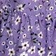 Mauve Purple