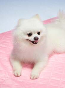 PETSIN 1pc Pink Pet Cooling Mat, Dog/Cat Bed Cushion With Ice Silk Cooling Fabric