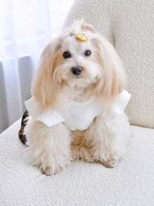 PETSIN Gonna con stampa leopardata bianca, patchwork con gatti e cani carini