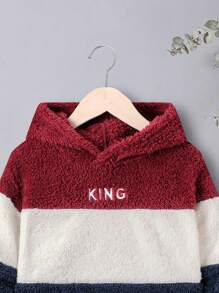 SHEIN Sudadera con bloques de color y bordado de letras de oso de peluche para niño pequeño, para otoño/invierno - Multicolor - Ver 5