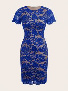 Ellevyn Women's Lace Sheer Round Neck Sexy Short Sleeve Mini Dress