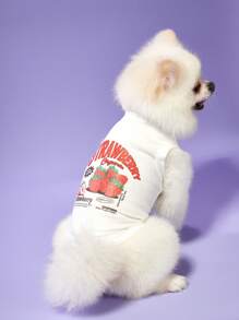 PETSIN 1pc Pet Cat Dog Universal White Strawberry Vintage Casual Breathable Printed Dog Vest