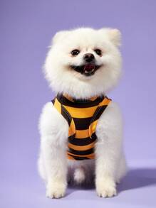 PETSIN 2 pezzi Pettorina unisex per animali domestici cane e gatto, a righe gialle con stampa simpatica cartone animato ape, comoda e traspirante