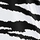 Noir et Blanc