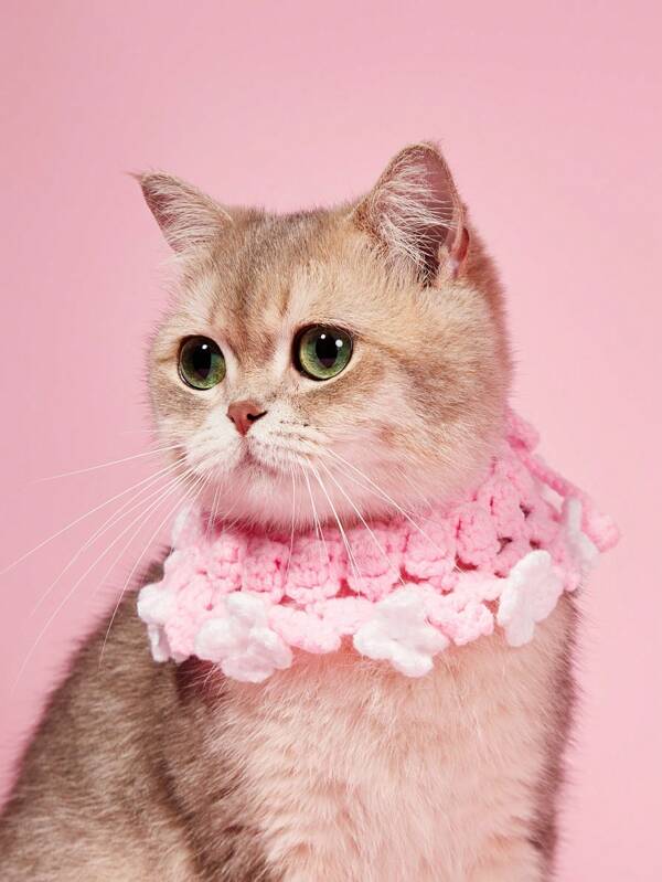 PETSIN طوق محبوب من الصوف مزين بإكليل زهور وردي قطعة واحدة للقطط والكلاب، اكسسوار للحيوانات الأليفة، لوازم أليفة عبر الحدود للجملة