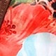 彩色