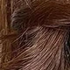 S4