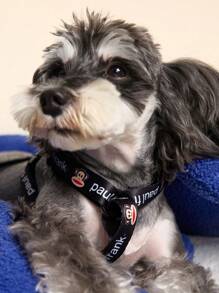 Paul Frank X SHEIN 3pcs & Monkey Printed Pet Carriers, One Adjustable Carrier, One Bag, One Leash, Monkey, Skull, , Street - Black - View 3