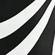 Blanco y Negro