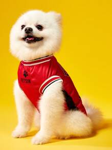 PETSIN 1 pièce Maillot réversible à rayures et numéro 23 de Chicago pour chat ou chien de compagnie, débardeur confortable et
