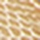 Dorado