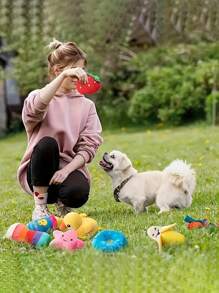 PETSIN 3/5/10/15/20pcs Pet Doll Set, Dog Chew Ball, Plush Squeaky Toys, Puppy Biting Toys, Realistic Plush Toys, Tooth-Friendly Chew Toys With Unique Designs, Interactive Toys For Small/Medium/Large Dogs, Indoor/Outdoor Use, Easy Storage, Random Styles/Colors, Popular Pet Toys Set In Europe & America - Multicolor - View 9