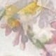 Multicolor