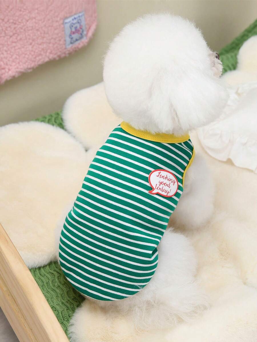 PETSIN 休闲可爱简约文字图形柔软面料夏季轻薄透气户外宠物背心，适合猫狗，欧美流行，春夏