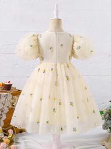 SHEIN Rochie drăguță pentru fete cu broderie florală din plasă cu gât rotund și mânecă bufantă