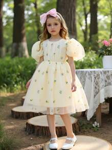 SHEIN Rochie drăguță pentru fete cu broderie florală din plasă cu gât rotund și mânecă bufantă