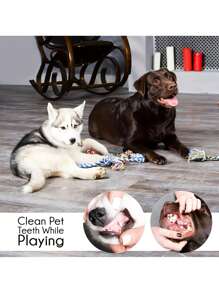 PETSIN 3/5/10/15/20pcs Pet Doll Set, Dog Chew Ball, Plush Squeaky Toys, Puppy Biting Toys, Realistic Plush Toys, Tooth-Friendly Chew Toys With Unique Designs, Interactive Toys For Small/Medium/Large Dogs, Indoor/Outdoor Use, Easy Storage, Random Styles/Colors, Popular Pet Toys Set In Europe & America - Multicolor - View 2