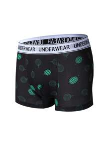 SHEIN 3件装青少年男孩字母松紧带休闲内衣套装 - 彩色 - 查看 4