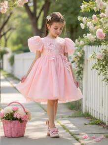 SHEIN 年轻女孩圆领荷叶边袖刺绣后背蝴蝶结设计欧根纱连衣裙，适合钢琴演奏会、宴会、T台、婚礼、生日派对