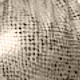 trắng