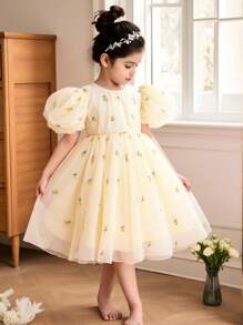 SHEIN Rochie drăguță pentru fete cu broderie florală din plasă cu gât rotund și mânecă bufantă