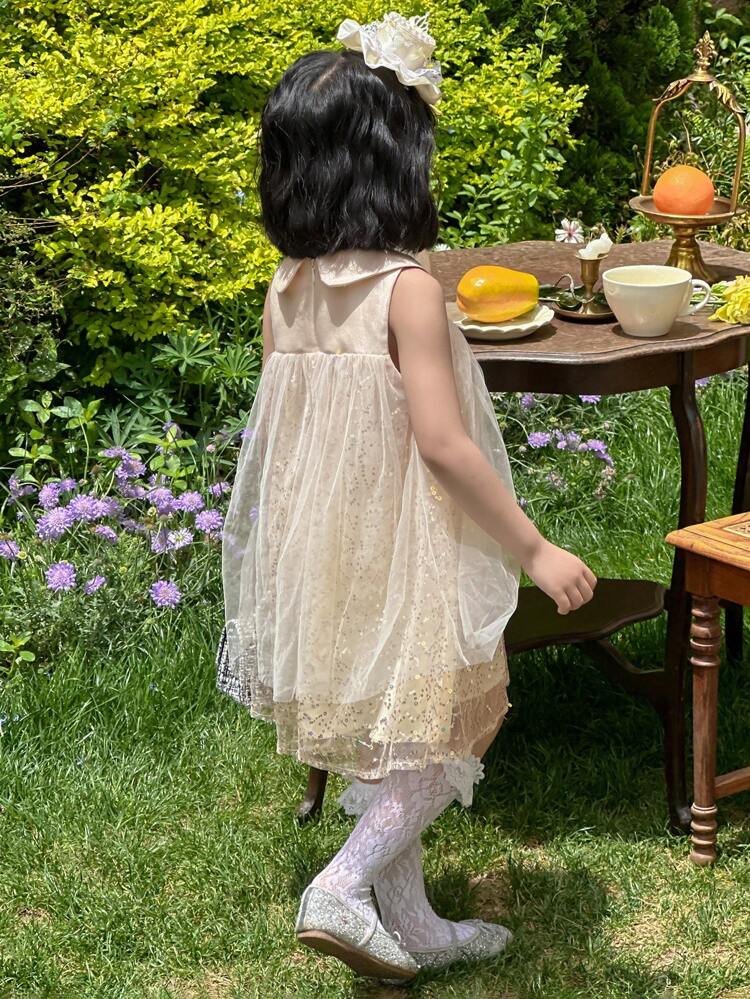 Young Girl Girl's Doll Face Sleeveless Mesh Round Neck Party Dress, Summer