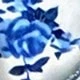 Azul y blanco