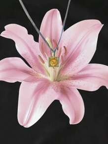 SHEIN Tween Girls' Fashion Lily Flower Print Tight Cropped Top, Casual Style Summer Tops - Black - View 5