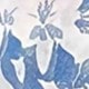 Blue and White