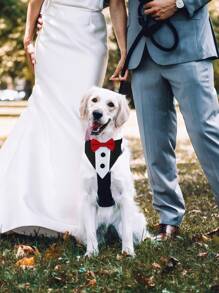 1pc Soft & Handsome Bow Tie Wedding Black Suit Pet Drool Bib Collar - Red - View 3