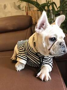 Sudadera con capucha a rayas para mascotas - Suéter suave y acogedor para gatos/perros, transpirable y elástico, diseño a rayas lindo, perfecto para mascotas pequeñas a medianas