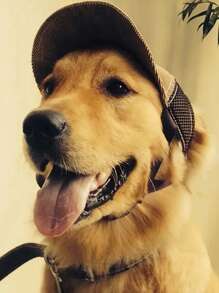 SHEIN Cappello da sole per animali domestici color caffè, perfetto per i viaggi all'aperto