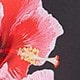 彩色