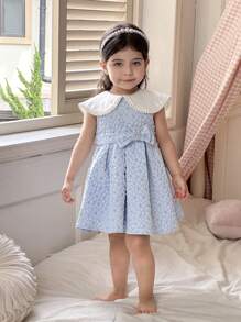 Baby Girl Woven Collared Sleeveless Snug Fit Dress - Blue - View 1