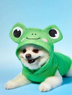 Suministros de mascotas