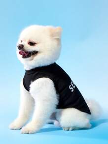 PETSIN 2 件套灰色和黑色 SECURITY 字母印花宠物狗背心，时尚休闲透气狗衣服