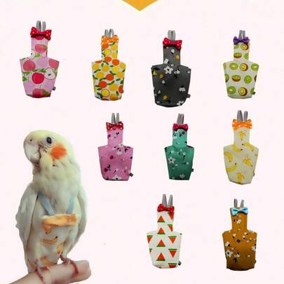 首页 宠物鸟娱乐秋千