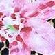 彩色