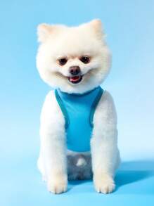 PETSIN 2pcs Red & Blue Pet Dog Casual Sports Letter Print Comfortable Fashionable Vest - Multicolor - View 8