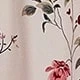 玫瑰紅