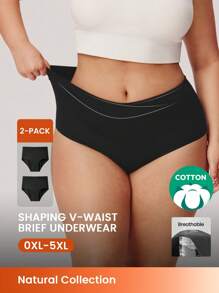 LUVLETTE Plus 2-Pack Women Underwear V-Cut Airy Comfortable Cotton Basics High-Rise Briefs