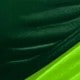 Verde Oliva