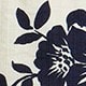 彩色
