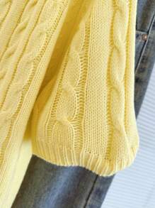 Pariaura New Design Sense Solid Color Cable Knit Casual Cardigan For Women