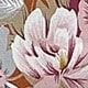 Rỉ Nâu