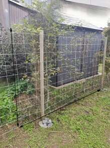 1pc Net Climbing Plant 5*15ft, DIY Plant Holder, Garden Planting Supplies, Garden Flower Plants Supplies Decor, Garden Balcony Gardening Beauty Planting Supplies, Planters & Container Accessories - White - View 4