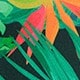 Multicolor