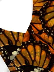 Shutterstock ملابس علوية ملابس علوية كاجوال بطبعة فراشة متعددة الألوان على طراز بوهيميان للنساء - متعدد الألوان - مشاهدة 4