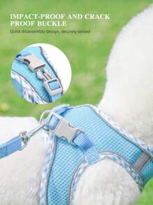 透气舒适的网状狗背带，带有反光条和强力包裹。